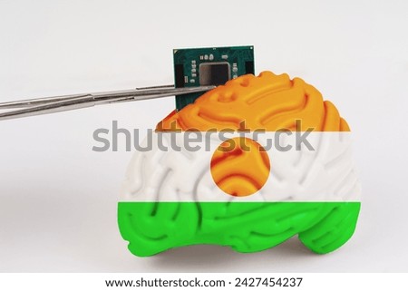 On a white background, a model of the brain with a picture of a flag - Niger, a microcircuit, a processor, is implanted into it. Close-up