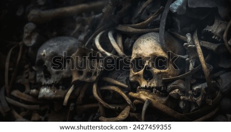 Dark image showcasing a macabre pile of human skulls bones remains.
Evoking a sense of history and mortality. Royalty-Free Stock Photo #2427459355