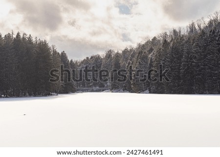 Winter frozen lake copy space space image, fresh snow covered landscape, perfect winter day background