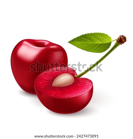 Illustration of smooth-skinned, ripe red sweet cherries, juicy light red flesh, and small pit, on a white backdrop Royalty-Free Stock Photo #2427473091