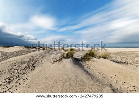 Wide deserted Baltic Sea beach in sunny windy weather, wind-moving grass and sand dunes, motion traces of clouds by long exposure, dark clouds, Poland, Baltic Sea, Slowinski Park Narodowy Royalty-Free Stock Photo #2427479285