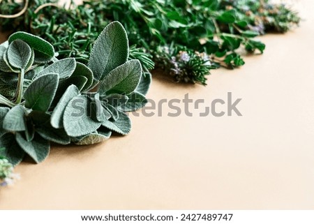 Herbal medicine. Sage, rosemary and oregano on craft paper. Preparation of eco friendly medicinal herbs for drying. Alternative medicine.