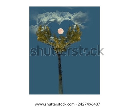 Natural Picture of Tree and Moon for evening time with feelings of happiness and love