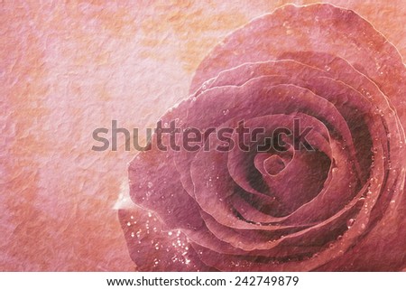 Vintage paper.Close-up rose with water drop.Marsala tone
