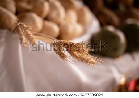 Close up of the last supper, representation with various elements on Holy Thursday in Easter, detail of wheat Royalty-Free Stock Photo #2427505021