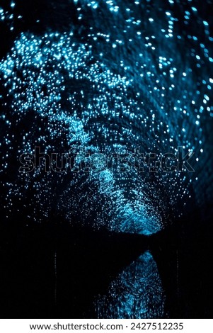 Old Helensburgh Station Glow Worm Tunnel - Blue Bioluminescence 5