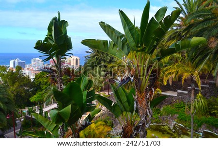 palm beach 