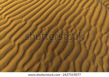 Sand dunes are landforms created by the wind, typically found in deserts, coastal areas, or wherever there is a large expanse of sand and consistent wind patterns. 