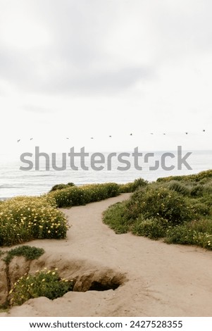 San Diego Beach Coast Nature