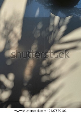 Shadows of palm trees on ceramics under the hot midday sun 