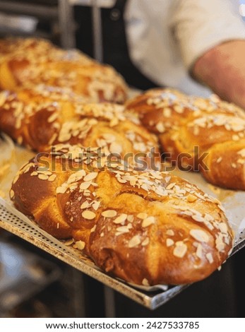 Tsoureki, Traditional Greek Easter Bread, greek freshly baked cake in Athens, Greece, with almond, mastiha, mahleb and cinnamon, orthodox Easter in Greece, sweet bread with red eggs Royalty-Free Stock Photo #2427533785