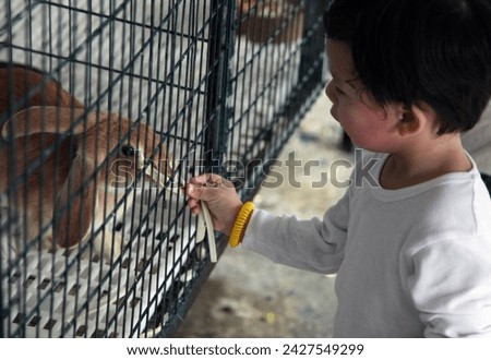 Exterior photo view of a kind little young kid child children handsome boy feeding giving food to rabbit pet animal in a cage captivity in a farm as a gesture of kindness towards animal sharing moment