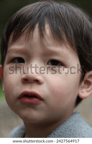 Exterior photo visual view portrait of a handsome cute good looking little child kid children male boy who looks at the camera with no specific expression
