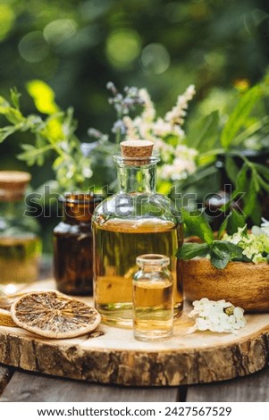 Concept of alternative herbal medicine. Bottles of tincture or potion, organic essential oils, dry healthy herbs, floral extracts on wooden table. Pure natural ingredients for cosmetic production Royalty-Free Stock Photo #2427567529