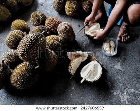 Group of fresh durians in the durian market Royalty-Free Stock Photo #2427606559
