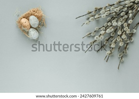flat lay photo of fluffy willow branches and Easter eggs in pastel shades on a gray background. an Easter card. free space for text.