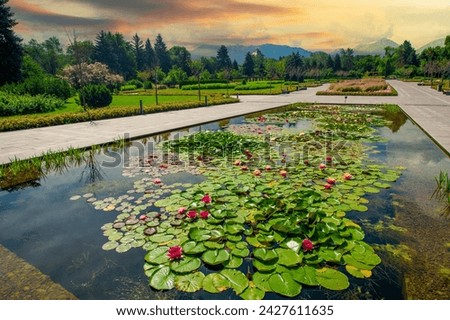 Lotus flowers, Witness the harmonious dance of nature and art: majestic lotus flowers adorn the tranquil pond, turning it into a charming oasis in the park. Nurtured By Nature