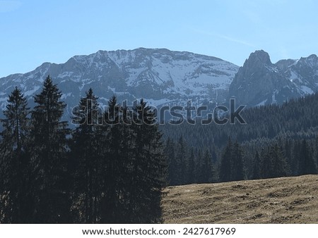 View of the Alps in Allgaeu in Germany Royalty-Free Stock Photo #2427617969