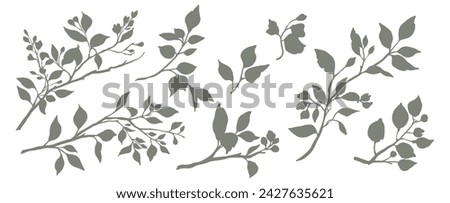 Set of silhouettes of branches and leaves. Hand drawn vector botanical elements Royalty-Free Stock Photo #2427635621