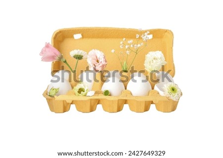 PNG, eggs in a cardboard package, isolated on a white background.