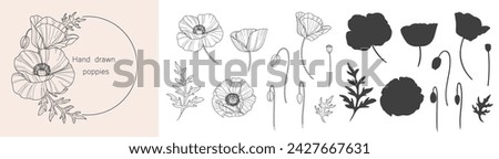 Sketch of flower botany collection. Drawings of poppy flowers. Black and white drawing with line art on a white background. Hand drawn botanical illustrations. Royalty-Free Stock Photo #2427667631