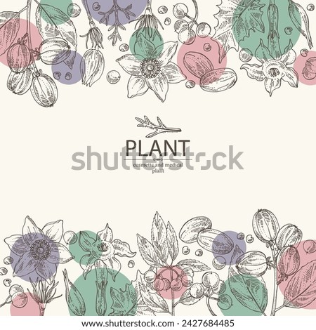 Background with  cosmetic and medical plants: datura stramonium, pulsatilla chinensis, croton tiglium, ardisia japonica. Vector hand drawn illustration