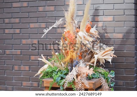 Autumn element composition of dried flowers, leaves and heads of grass and cereals on the background of a brick wall.