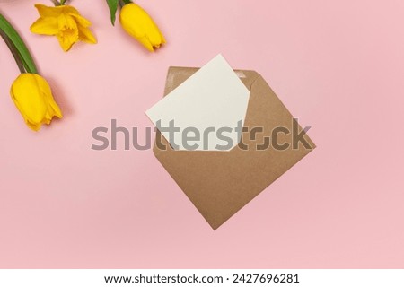 Top view of yellow tulips and daffodils on pink background. Kraft envelope, white card. Spring colourful composition, flat lay, copy space. Royalty-Free Stock Photo #2427696281