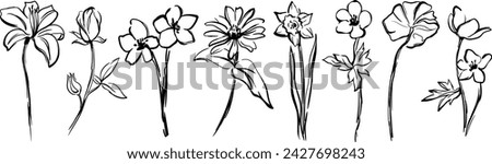 Black and white silhouette Illustration collection. Abstract hand-drawn flower in minimalist style set.