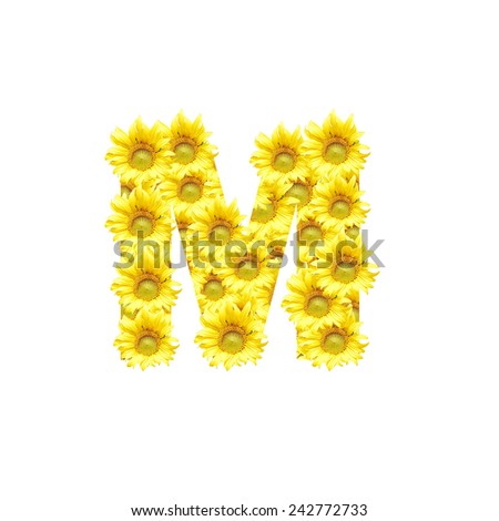 Sunflowers with alphabet letter M