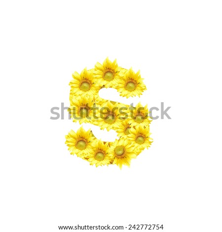 Sunflowers with alphabet letter S