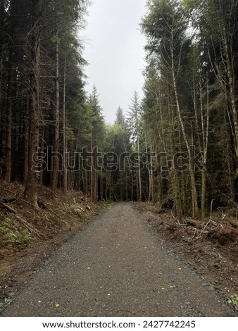 Views of timberland harvesting and timber farm near Port Angeles on the Olympic Peninsula, Washington State Royalty-Free Stock Photo #2427742245