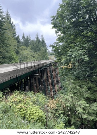Views of timberland harvesting and timber farm near Port Angeles on the Olympic Peninsula, Washington State Royalty-Free Stock Photo #2427742249