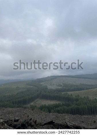 Views of timberland harvesting and timber farm near Port Angeles on the Olympic Peninsula, Washington State Royalty-Free Stock Photo #2427742255