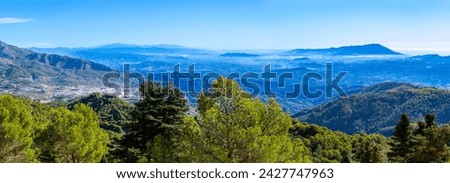 Panoramic view on pine forest on hiking trail to peak Torrecilla, Sierra de las Nieves national park, Andalusia, Spain Royalty-Free Stock Photo #2427747963