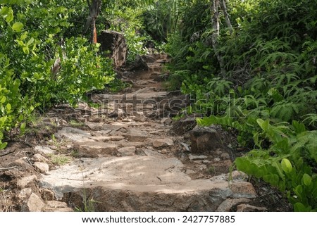 Scenic stone stairs among green foliage leading across beautiful tropical woods. Way through forest in summer season on Seychelles island