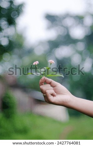 photo of flowers being held