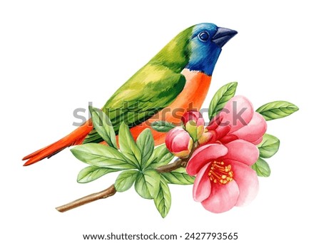 Spring vivid bird and flowers isolated on white background. Watercolor hand drawing Botanical painting. Quince flower