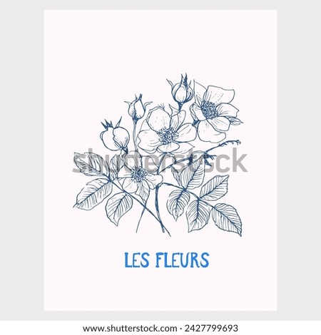 Rose flower vector illustration. Poster design. Floral clipart. Botanical art. Modern blue vibrant color sketch artistic. 