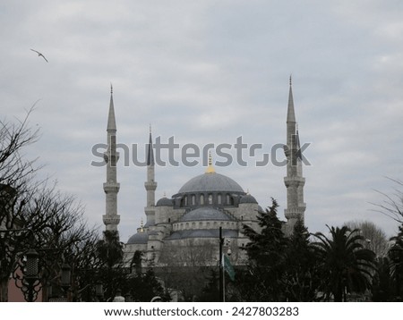 scenery of Blue mosque in turkey