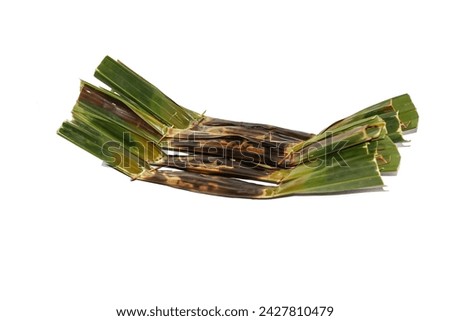 Dessert Thailand with sticky rice and coconut milk sugar in the banana leaf on white background,isolated picture style.