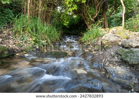 Flowing stream of water through a lush green woodland . Slow shutter speeds shows the movement. 