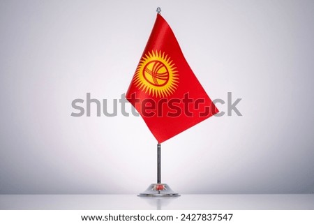 Kyrgyzstan flag with a gray and clean background.