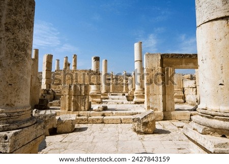 The macellum, jerash (gerasa), a roman decapolis city, jordan, middle east Royalty-Free Stock Photo #2427843159