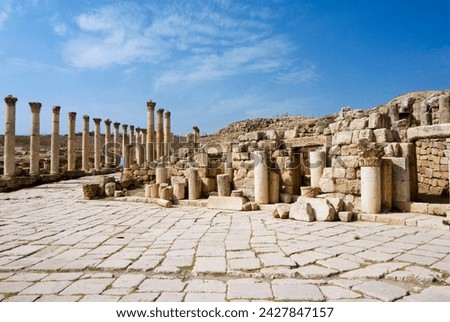 South decumanus and south tetrapylon, jerash, a roman decapolis city, jordan, middle east Royalty-Free Stock Photo #2427847157
