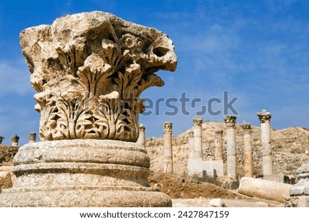 South decumanus, jerash (gerasa), a roman decapolis city, jordan, middle east Royalty-Free Stock Photo #2427847159