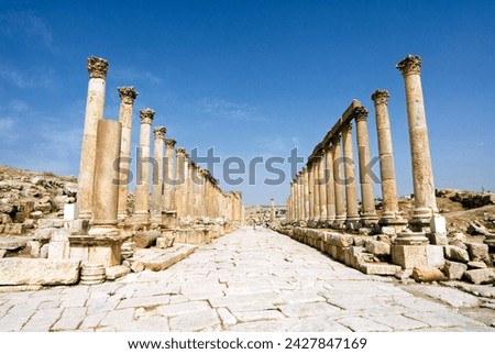 The cardo, north colonnaded street, jerash (gerasa), a roman decapolis city, jordan, middle east Royalty-Free Stock Photo #2427847169