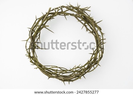 Jesus Wooden Crown of Thorns used by Catholic Christians on Good Friday Ceremony. Isolated on white background with empty blank copy text space. Royalty-Free Stock Photo #2427855277