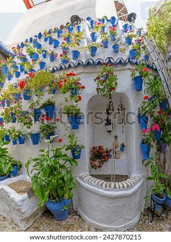 Beautiful Cordoban patio with well and flowers