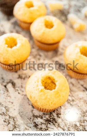 In the process of crafting delightful cactus cupcakes, the freshly baked vanilla and chocolate cupcakes are generously filled with tangy lemon and sweet raspberry filling, enhancing the flavors and